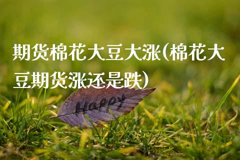期货棉花大豆大涨(棉花大豆期货涨还是跌)_https://www.zztgc.com_期货入门_第1张