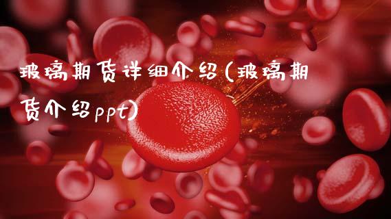 玻璃期货详细介绍(玻璃期货介绍ppt)_https://www.zztgc.com_期货入门_第1张