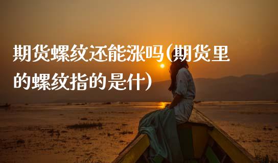 期货螺纹还能涨吗(期货里的螺纹指的是什)_https://www.zztgc.com_期货行情_第1张