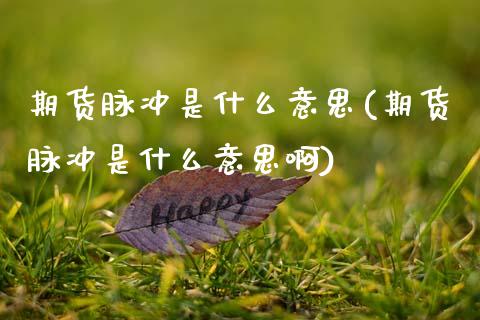期货脉冲是什么意思(期货脉冲是什么意思啊)_https://www.zztgc.com_期货行情_第1张