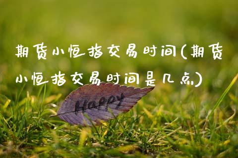 期货小恒指交易时间(期货小恒指交易时间是几点)_https://www.zztgc.com_期货开户_第1张