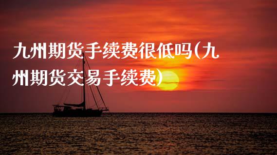 九州期货手续费很低吗(九州期货交易手续费)_https://www.zztgc.com_期货入门_第1张