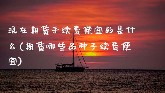 现在期货手续费便宜的是什么(期货哪些品种手续费便宜)_https://www.zztgc.com_原油期货_第1张