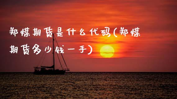 郑煤期货是什么代码(郑煤期货多少钱一手)_https://www.zztgc.com_期货直播_第1张