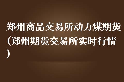 郑州商品交易所动力煤期货(郑州期货交易所实时行情)_https://www.zztgc.com_期货直播_第1张