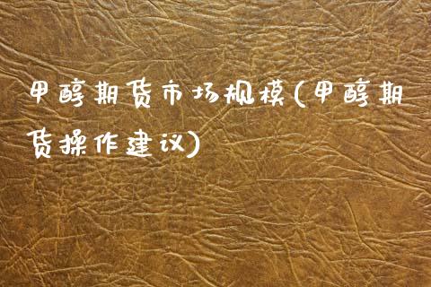 甲醇期货市场规模(甲醇期货操作建议)_https://www.zztgc.com_期货行情_第1张