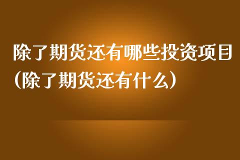 除了期货还有哪些投资项目(除了期货还有什么)_https://www.zztgc.com_期货入门_第1张