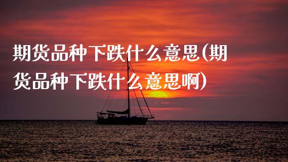 期货品种下跌什么意思(期货品种下跌什么意思啊)_https://www.zztgc.com_原油期货_第1张
