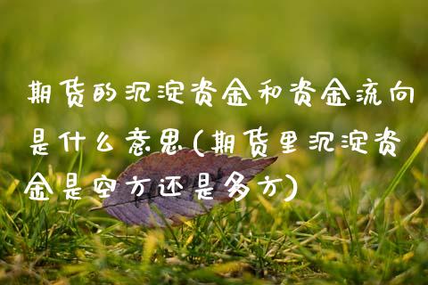 期货的沉淀资金和资金流向是什么意思(期货里沉淀资金是空方还是多方)_https://www.zztgc.com_期货入门_第1张