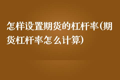 怎样设置期货的杠杆率(期货杠杆率怎么计算)_https://www.zztgc.com_期货行情_第1张