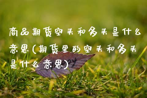 商品期货空头和多头是什么意思(期货里的空头和多头是什么意思)_https://www.zztgc.com_期货入门_第1张