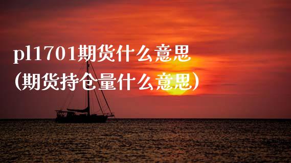 pl1701期货什么意思(期货持仓量什么意思)_https://www.zztgc.com_期货直播_第1张