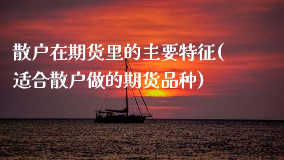 散户在期货里的主要特征(适合散户做的期货品种)_https://www.zztgc.com_期货入门_第1张