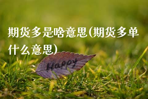 期货多是啥意思(期货多单什么意思)_https://www.zztgc.com_黄金期货_第1张