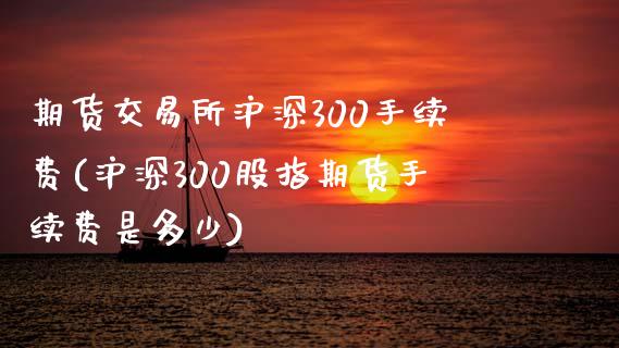 期货交易所沪深300手续费(沪深300股指期货手续费是多少)_https://www.zztgc.com_期货开户_第1张