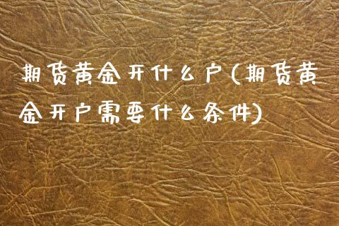 期货黄金开什么户(期货黄金开户需要什么条件)_https://www.zztgc.com_黄金期货_第1张