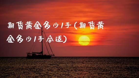 期货黄金多少1手(期货黄金多少1手合适)_https://www.zztgc.com_原油期货_第1张