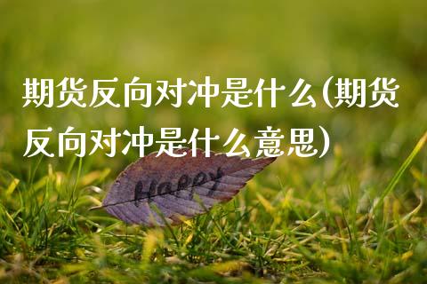 期货反向对冲是什么(期货反向对冲是什么意思)_https://www.zztgc.com_期货入门_第1张