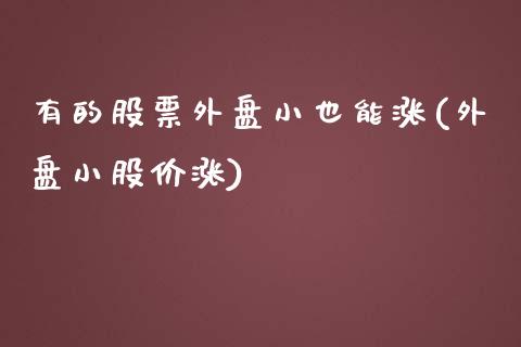 有的股票外盘小也能涨(外盘小股价涨)_https://www.zztgc.com_期货入门_第1张