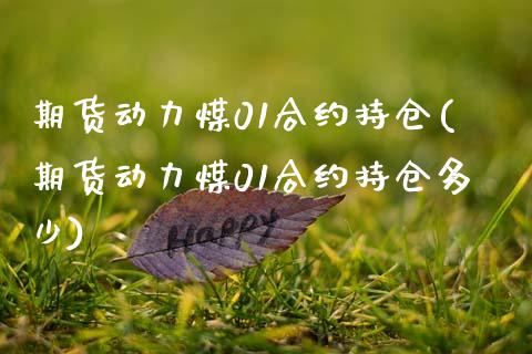 期货动力煤01合约持仓(期货动力煤01合约持仓多少)_https://www.zztgc.com_期货直播_第1张