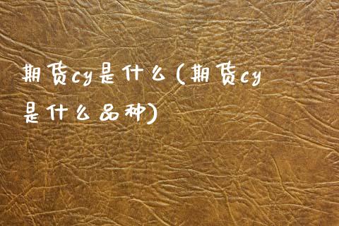 期货cy是什么(期货cy是什么品种)_https://www.zztgc.com_期货直播_第1张