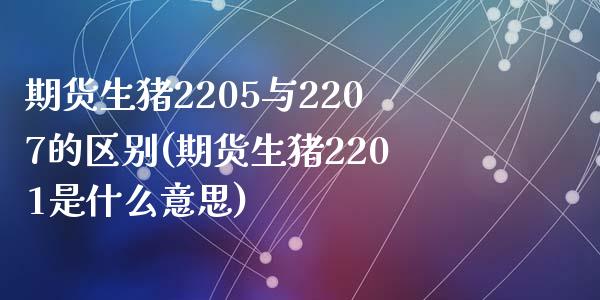 期货生猪2205与2207的区别(期货生猪2201是什么意思)_https://www.zztgc.com_期货开户_第1张