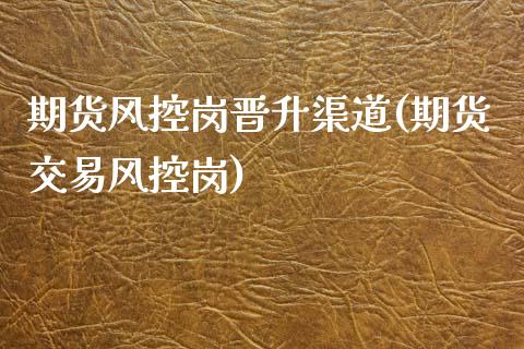期货风控岗晋升渠道(期货交易风控岗)_https://www.zztgc.com_期货入门_第1张