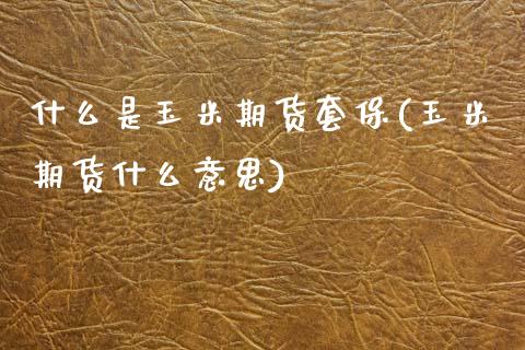 什么是玉米期货套保(玉米期货什么意思)_https://www.zztgc.com_黄金期货_第1张