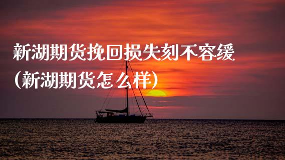 新湖期货挽回损失刻不容缓(新湖期货怎么样)_https://www.zztgc.com_黄金期货_第1张