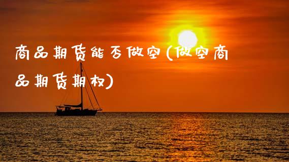 商品期货能否做空(做空商品期货期权)_https://www.zztgc.com_期货入门_第1张