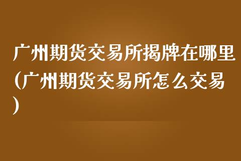 广州期货交易所揭牌在哪里(广州期货交易所怎么交易)_https://www.zztgc.com_期货行情_第1张