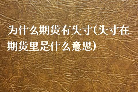 为什么期货有头寸(头寸在期货里是什么意思)_https://www.zztgc.com_期货行情_第1张