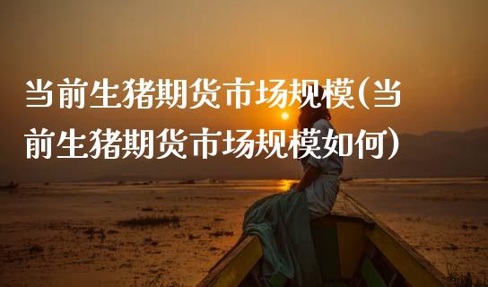 当前生猪期货市场规模(当前生猪期货市场规模如何)_https://www.zztgc.com_期货行情_第1张