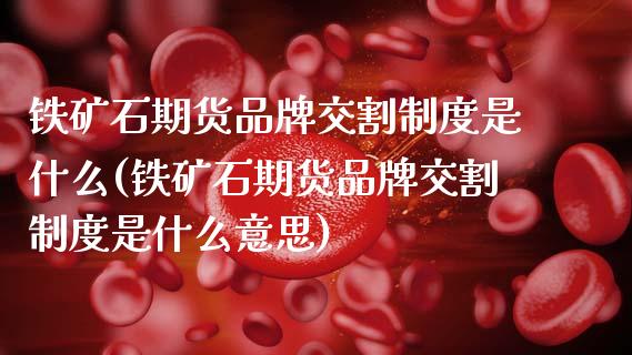 铁矿石期货品牌交割制度是什么(铁矿石期货品牌交割制度是什么意思)_https://www.zztgc.com_原油期货_第1张