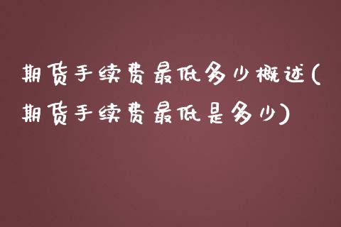 期货手续费最低多少概述(期货手续费最低是多少)_https://www.zztgc.com_期货行情_第1张