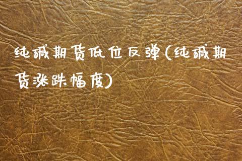纯碱期货低位反弹(纯碱期货涨跌幅度)_https://www.zztgc.com_期货入门_第1张