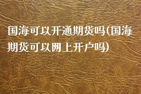 国海可以开通期货吗(国海期货可以网上开户吗)_https://www.zztgc.com_期货入门_第1张