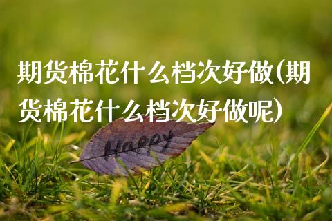 期货棉花什么档次好做(期货棉花什么档次好做呢)_https://www.zztgc.com_黄金期货_第1张