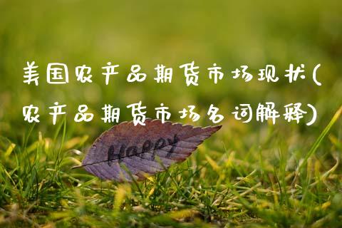 美国农产品期货市场现状(农产品期货市场名词解释)_https://www.zztgc.com_期货行情_第1张
