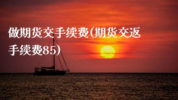 做期货交手续费(期货交返手续费85)_https://www.zztgc.com_期货行情_第1张
