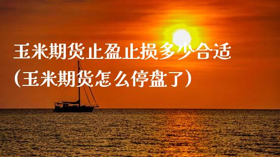 玉米期货止盈止损多少合适(玉米期货怎么停盘了)_https://www.zztgc.com_期货行情_第1张