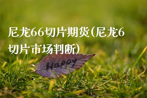 尼龙66切片期货(尼龙6切片市场判断)_https://www.zztgc.com_黄金期货_第1张