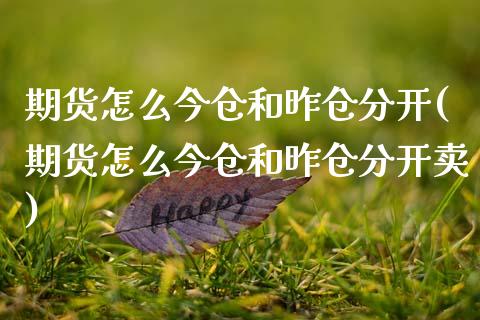 期货怎么今仓和昨仓分开(期货怎么今仓和昨仓分开卖)_https://www.zztgc.com_原油期货_第1张