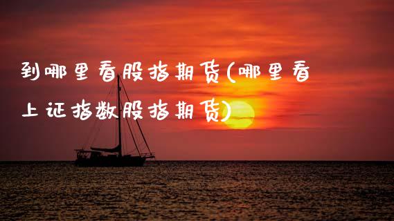 到哪里看股指期货(哪里看上证指数股指期货)_https://www.zztgc.com_期货行情_第1张