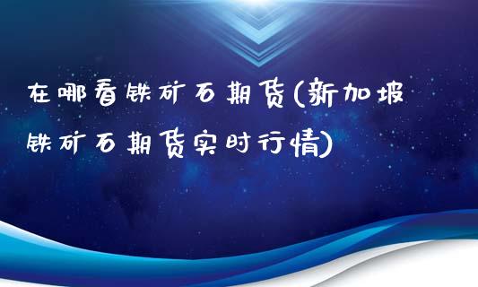 在哪看铁矿石期货(新加坡铁矿石期货实时行情)_https://www.zztgc.com_期货行情_第1张