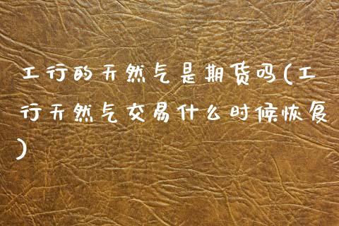 工行的天然气是期货吗(工行天然气交易什么时候恢复)_https://www.zztgc.com_期货入门_第1张