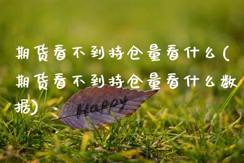 期货看不到持仓量看什么(期货看不到持仓量看什么数据)_https://www.zztgc.com_期货直播_第1张