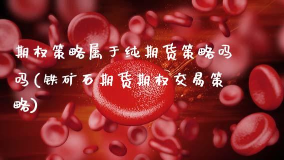 期权策略属于纯期货策略吗吗(铁矿石期货期权交易策略)_https://www.zztgc.com_期货行情_第1张