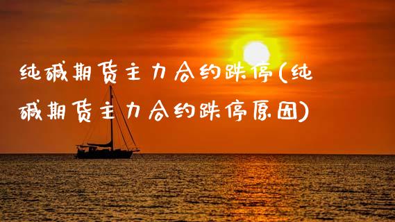 纯碱期货主力合约跌停(纯碱期货主力合约跌停原因)_https://www.zztgc.com_期货入门_第1张