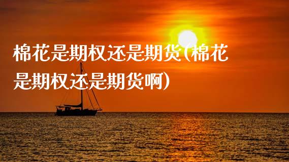 棉花是期权还是期货(棉花是期权还是期货啊)_https://www.zztgc.com_期货行情_第1张